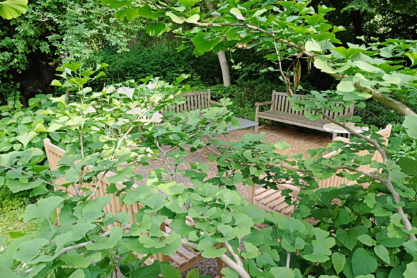 garten_05_2026